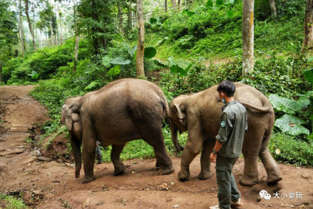 南方看海北方看雪,亲子旅行看雪