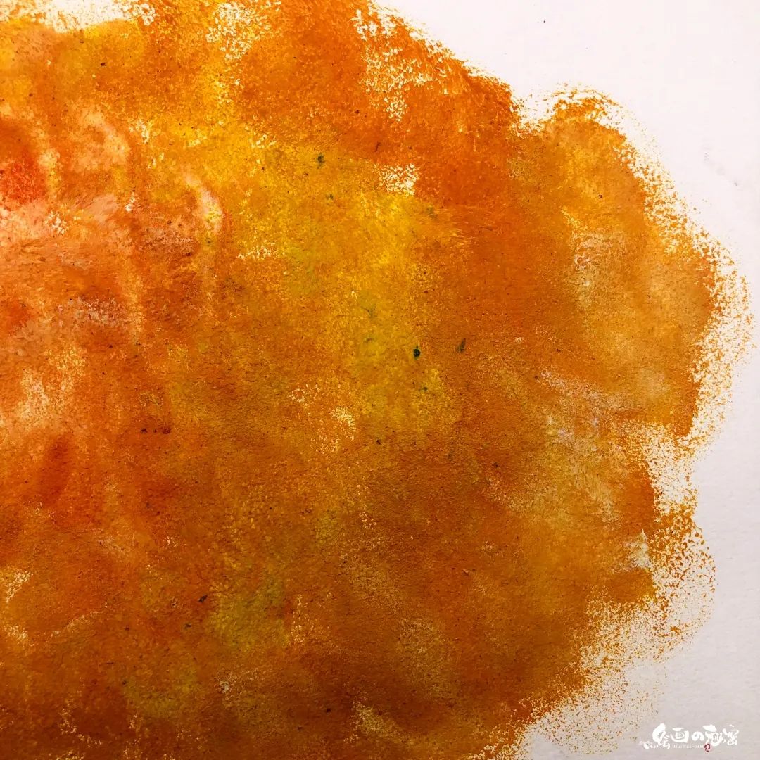 柿子树嫁接视频,柿子树修剪的正确方法