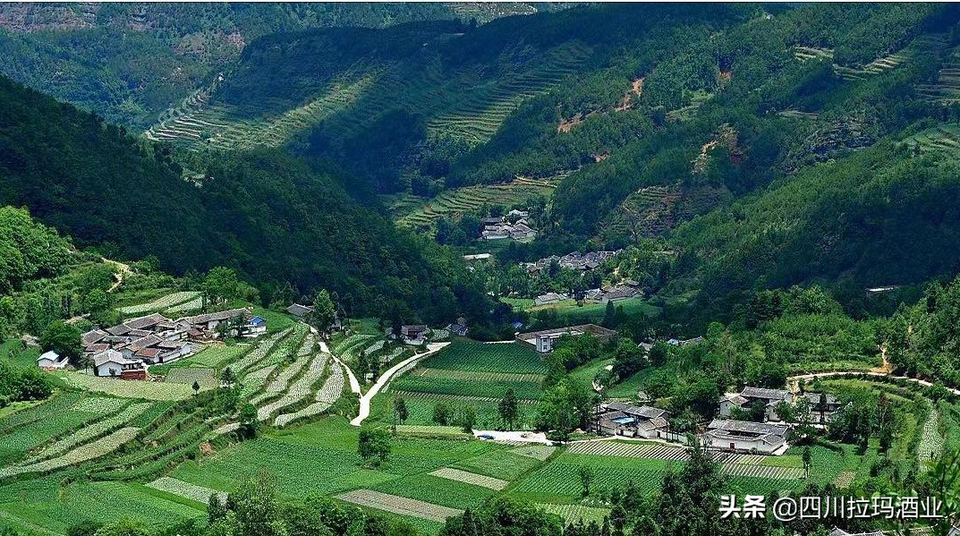 喝酒上瘾的人感觉白酒是什么味道,为什么要喝白酒的原因