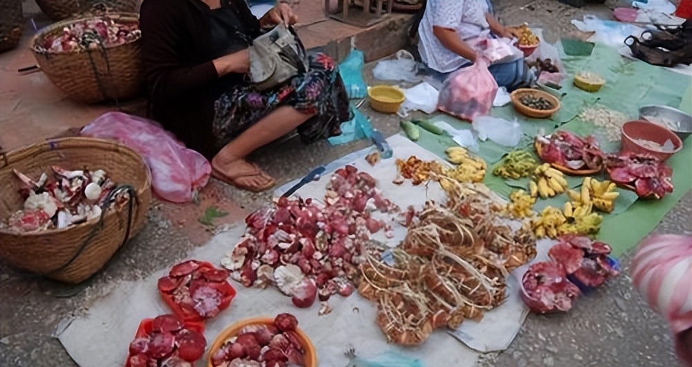 实拍老挝动物市场,老挝珍稀动物交易市场