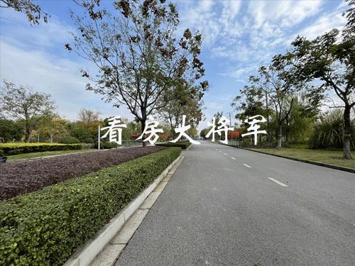 涨到心发慌，这里会是埋人的无底洞吗？#B050