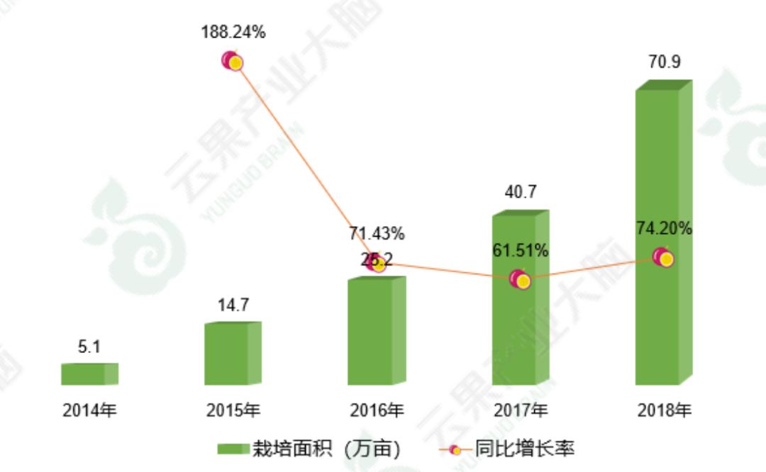 2022年百香果行情,百香果产业新政策