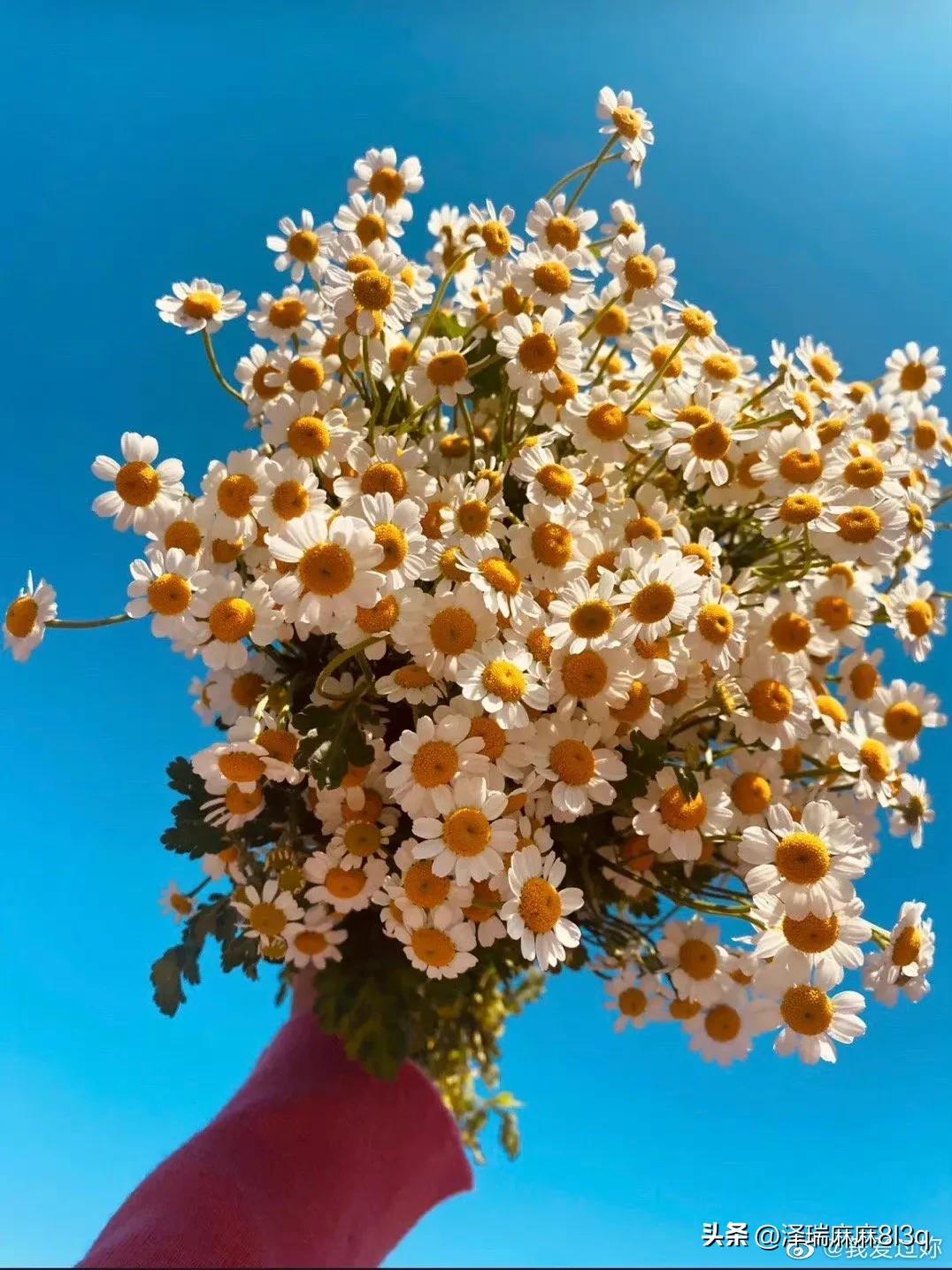 怎么维持两个有家庭的人相爱,两个有家庭的人相爱了还能继续吗