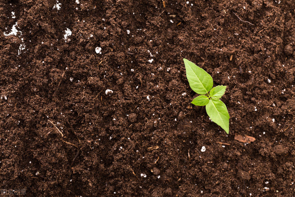 生化妊娠会多次发生吗,生化妊娠后都是病