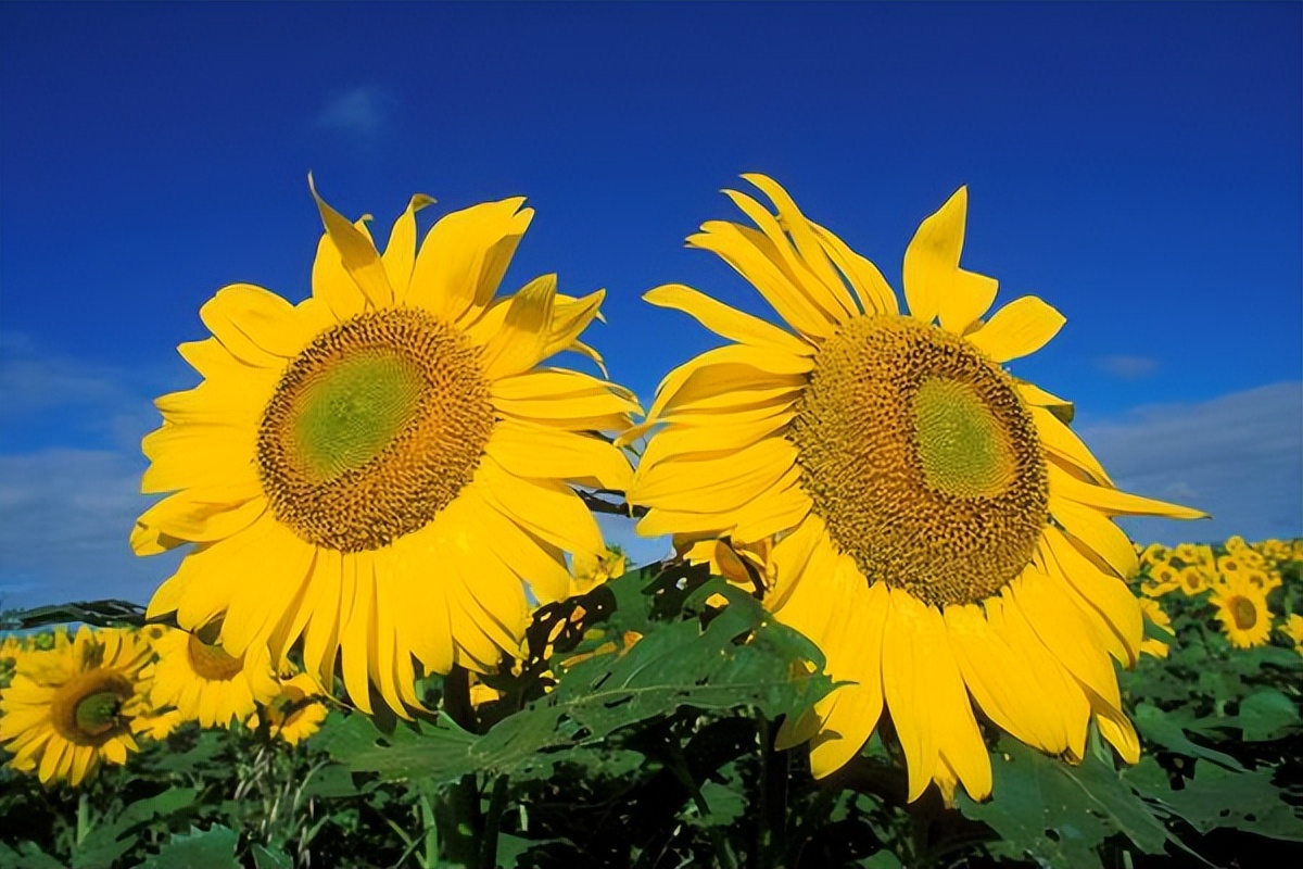 赚钱是世上最好的修行读后感,赚钱是最好的生意是一种修行