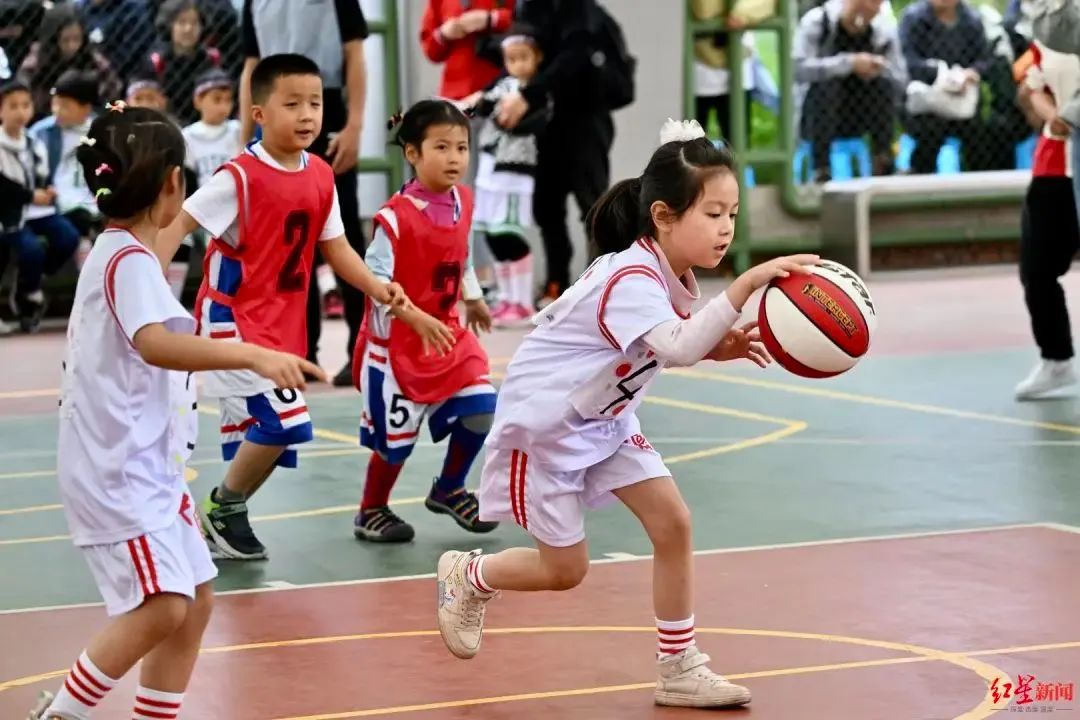 派迪茵体育有限公司,派迪茵体育股份有限公司