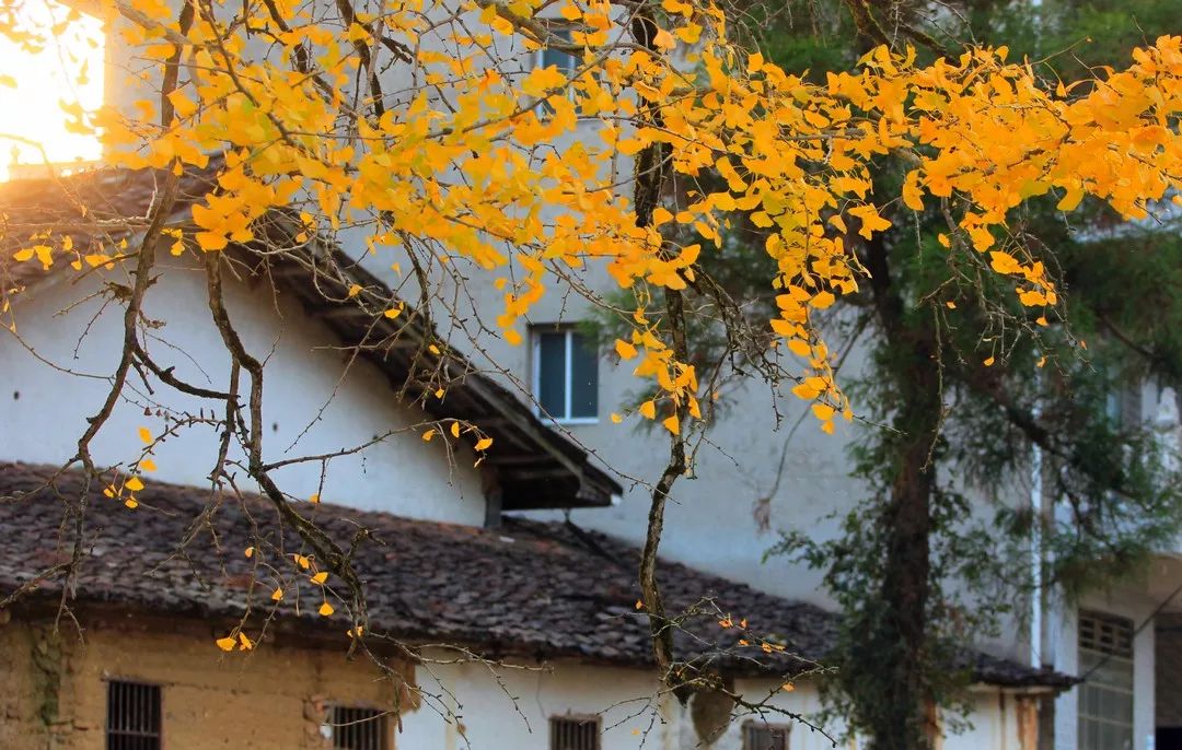 婺源美景之篁岭,婺源篁岭世外桃源