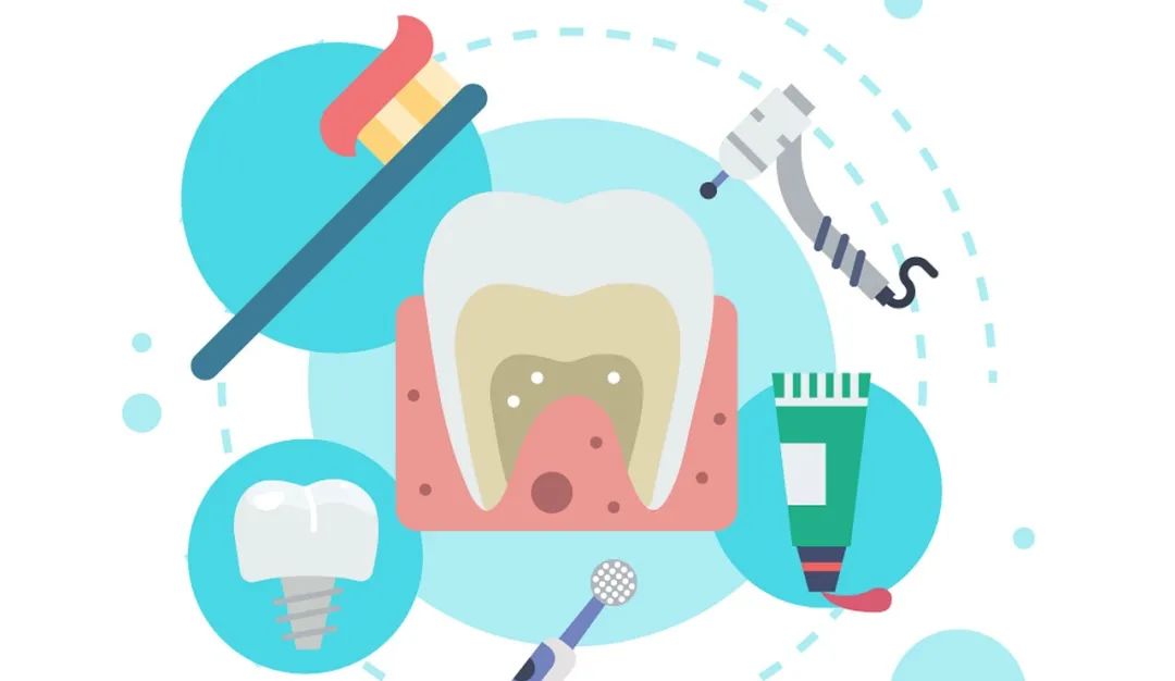 从小猪的颌骨里长出牙齿？这届科学家有点皮