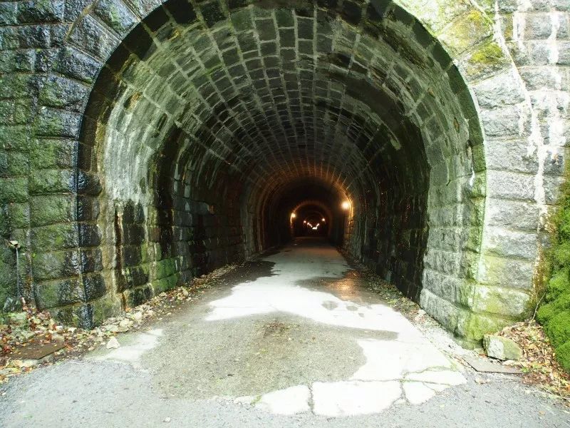 日本伊豆七彩神仙鱼,伊豆在日本哪个县