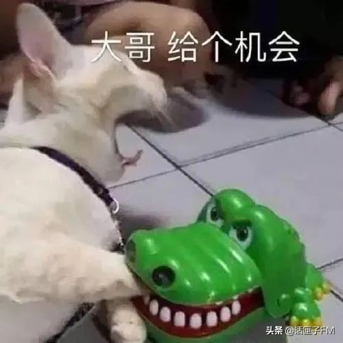 人均2200元吃皮蛋、鸡皮、青菜,这样的餐厅是“斩冲头”吗?市场监管回应了