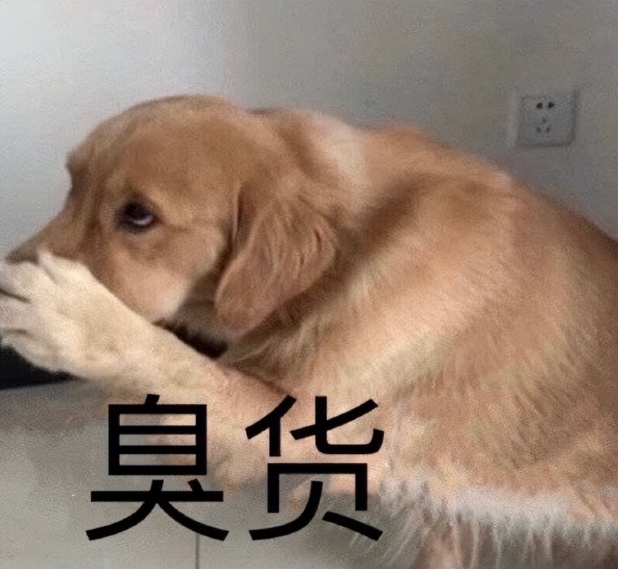 怎么判断土狗是不是星期狗,怎么选狗避免星期狗