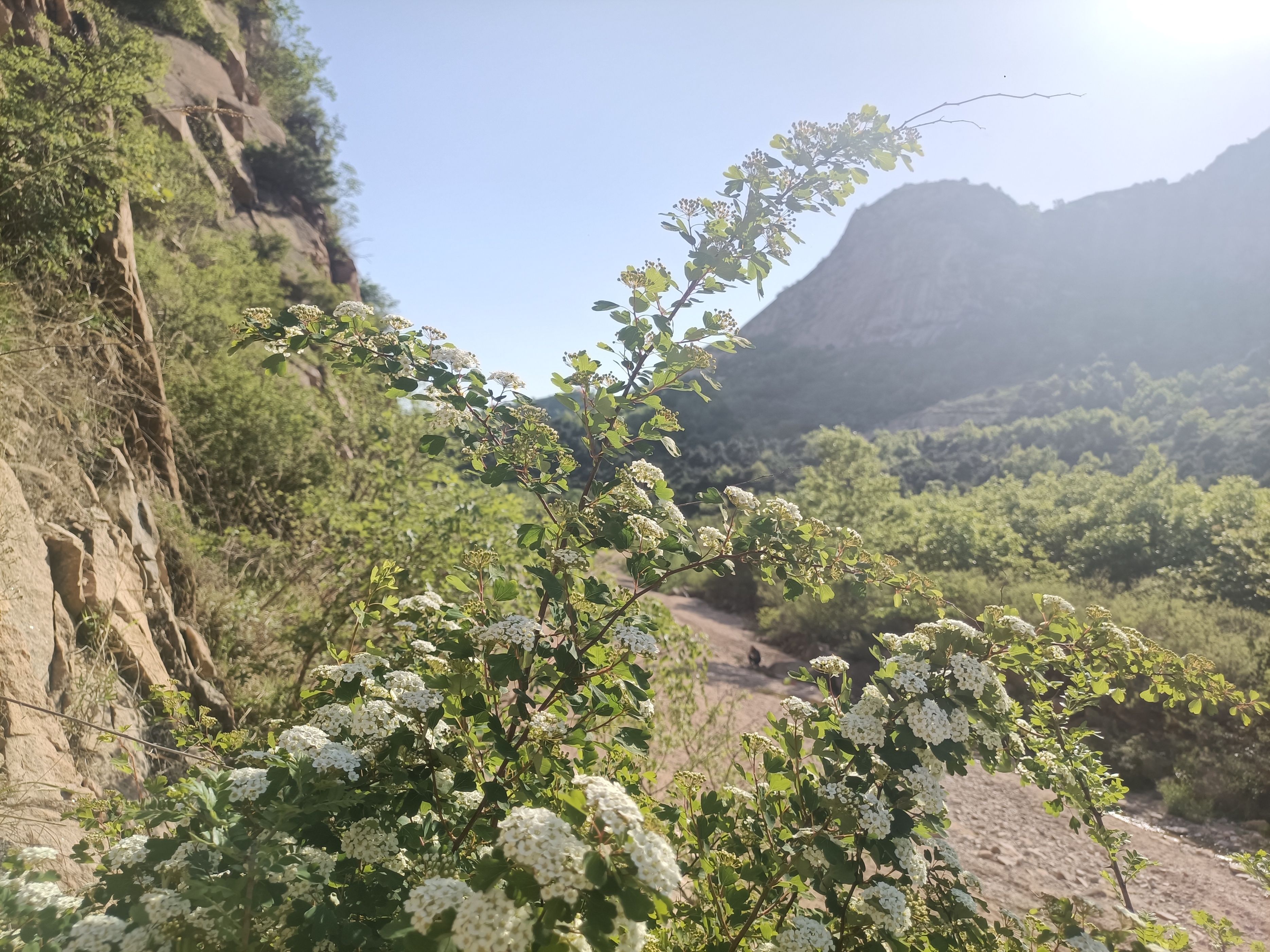 投资基本面看什么数据最重要,投资初期如何认识基本面