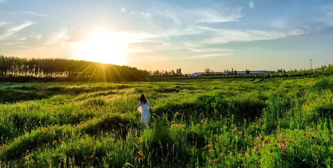 山东有海有雪有山有平原,山东有没有广阔草原