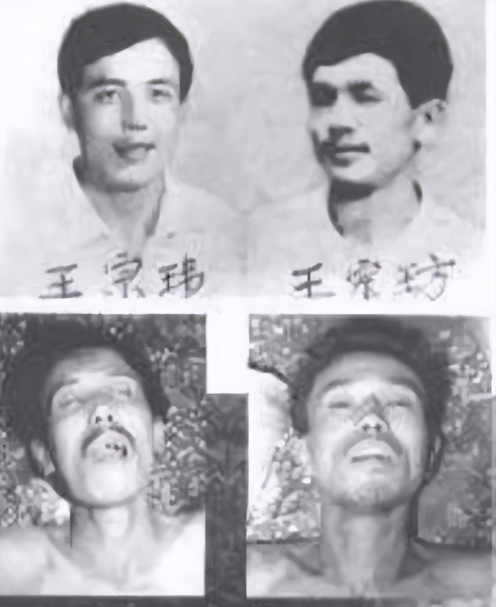 解密东北二王特大杀人案,十大悍匪纪实档案完整版东北二王