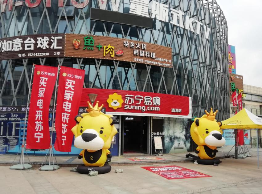 苏宁物流营销策略,苏宁仓储管理建议