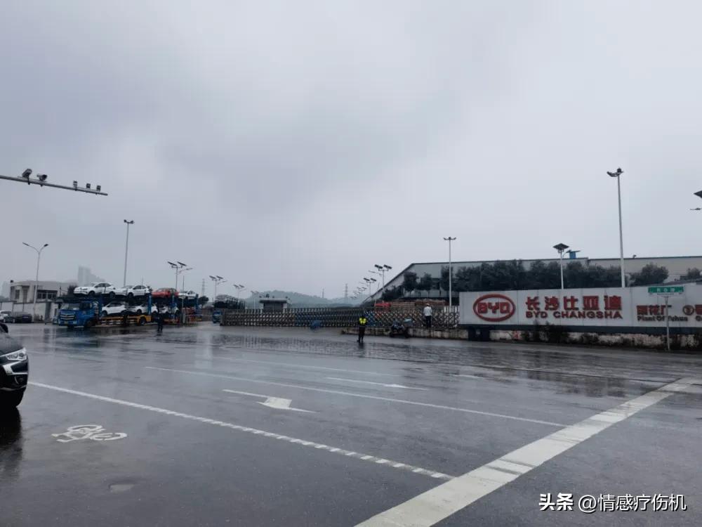 比亚迪会不会受到攻击,格力比亚迪