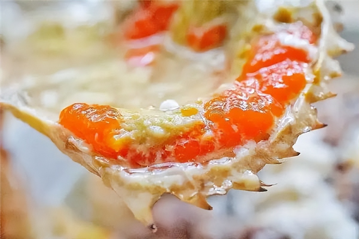 海蟹中什么蟹最好吃,现在吃海蟹好还是河蟹好