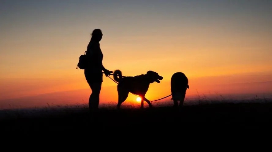 肾结石掉到输尿管了怎么办,肾结石掉到输尿管怎么办