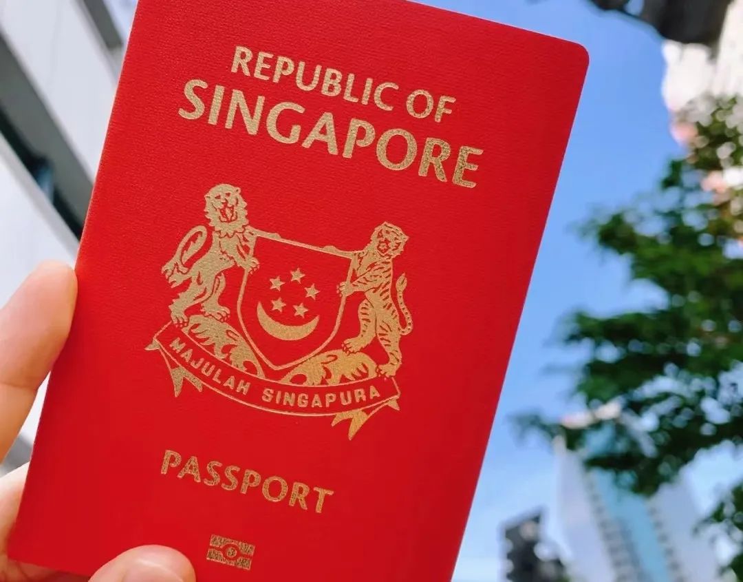 新加坡淘金视频,新加坡淘金