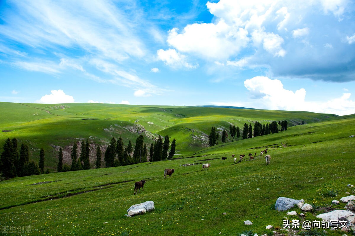 内向性格的人工作上的优势,内向性格反而具备更大优势