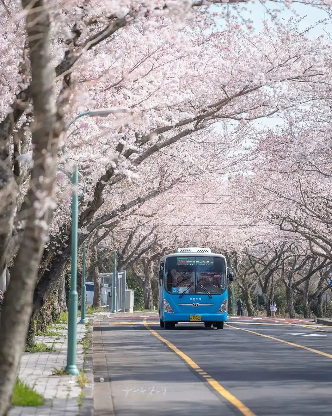 韩国下车忘记刷卡后果,在韩国乘车下车没刷卡怎么办
