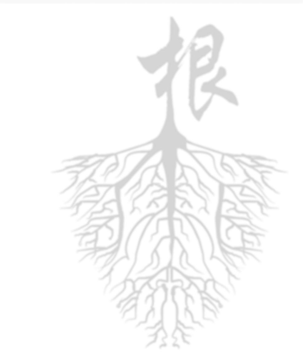 台湾女孩凭清朝地址找到祖先家乡,台湾女孩找到祖先