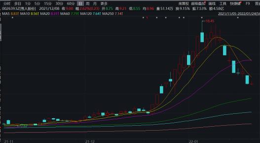 雪人股份股票为什么连跌,雪人股份还会回调吗