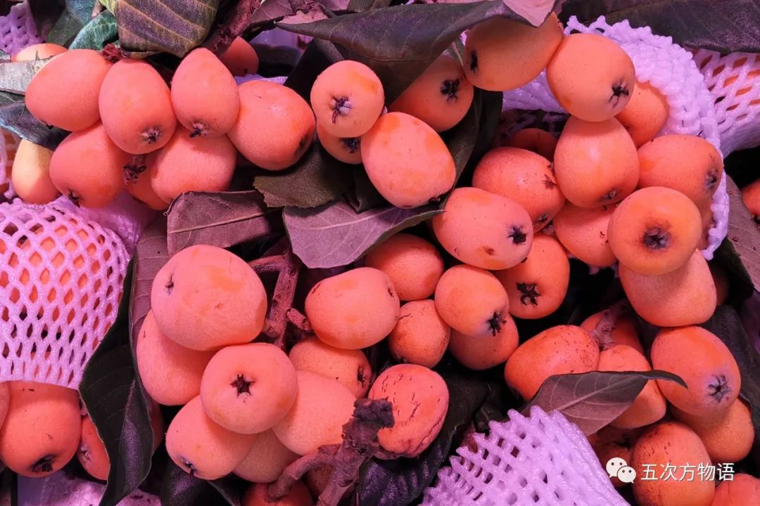 蔷薇科水果是什么,蔷薇亚科著名水果