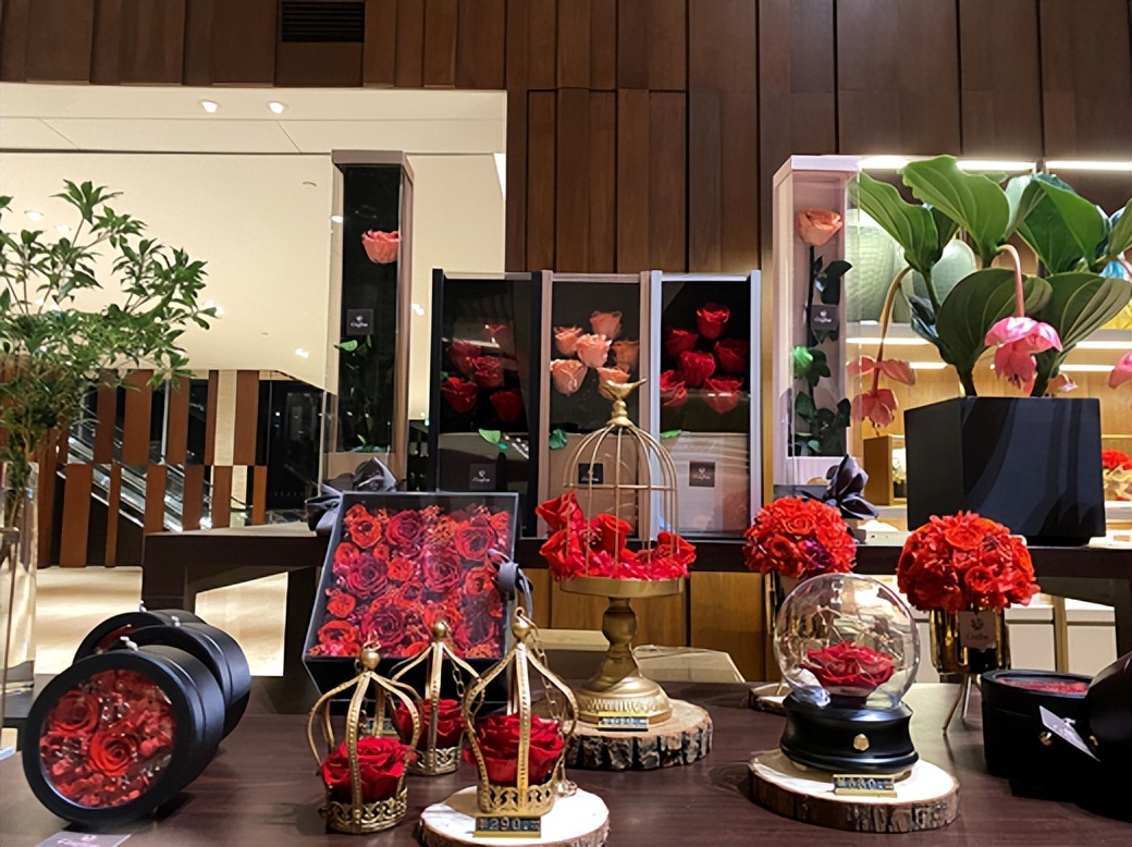 央美邹雅琪假扮名媛21天视频,央美女生假扮名媛21天没花一分钱