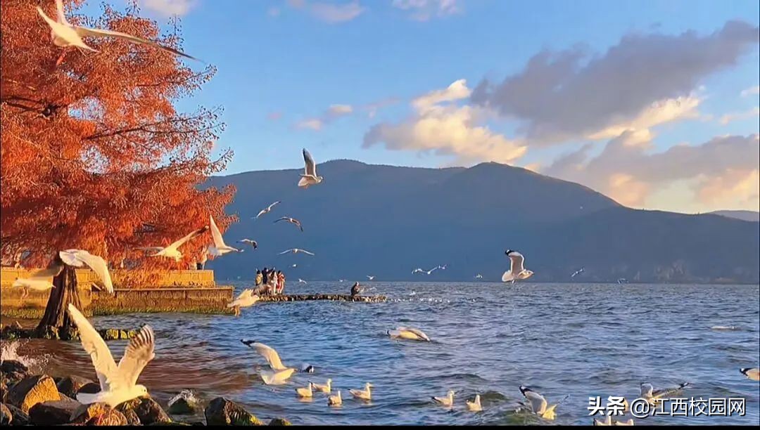 面朝大海春暖花开,面朝大海春暖花开配乐纯音乐mp3