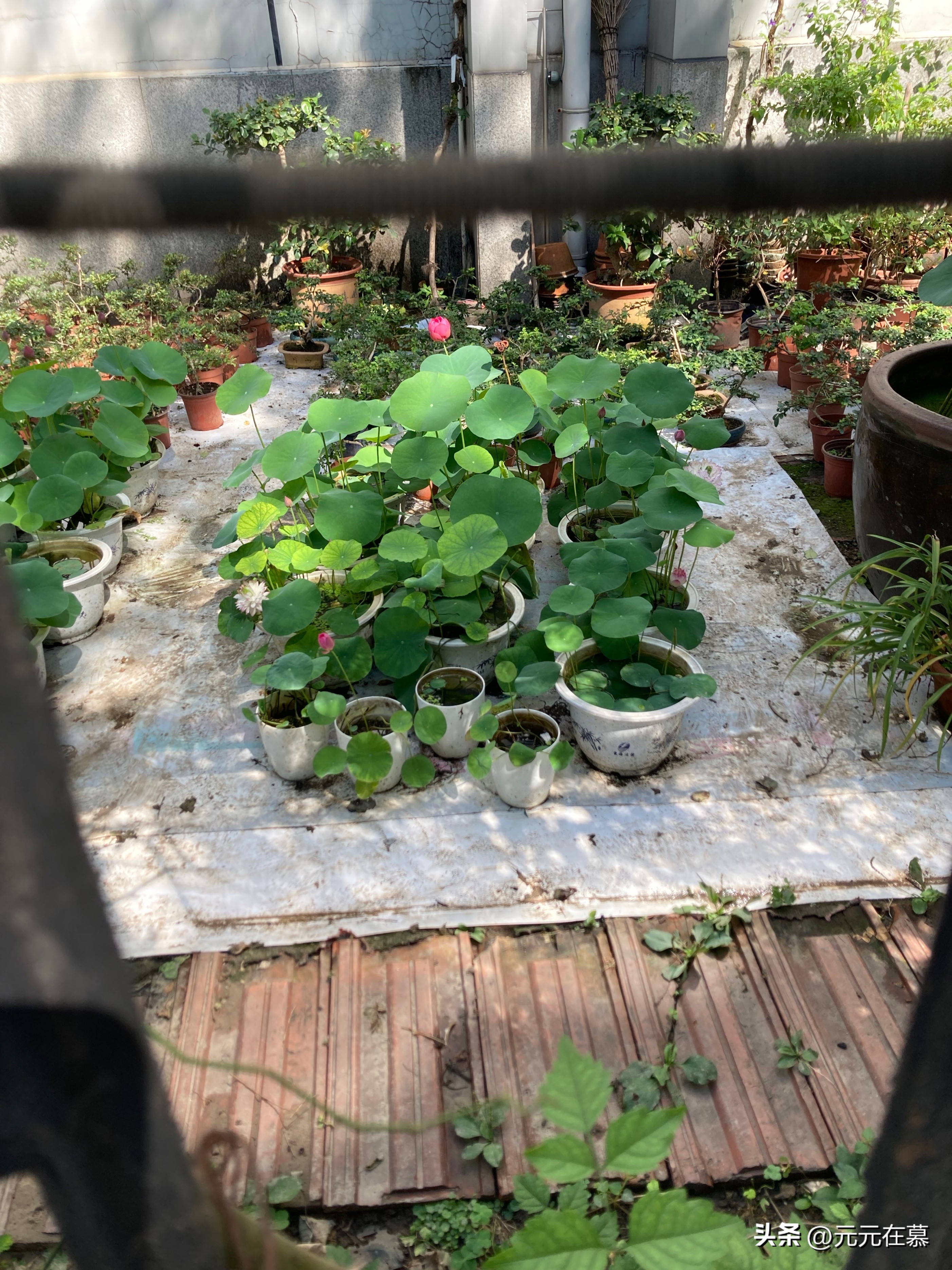 打工日记（一）——肯德基兼职试工