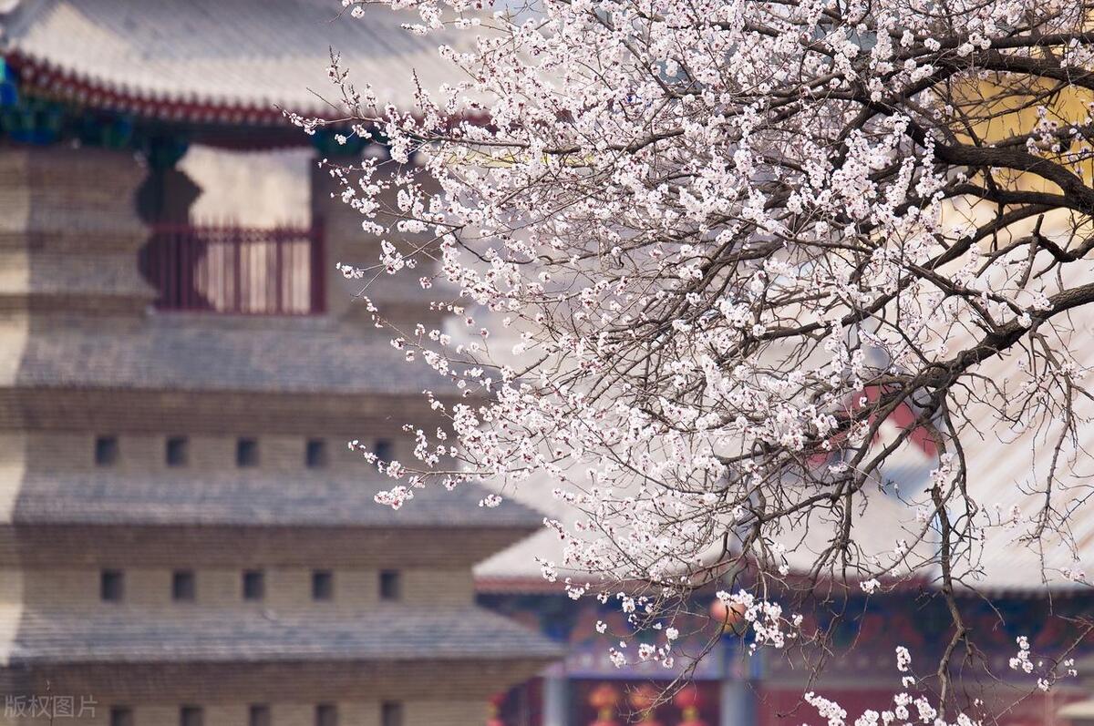 郑州是中国八大古都之一吗,郑州是八大古都吗