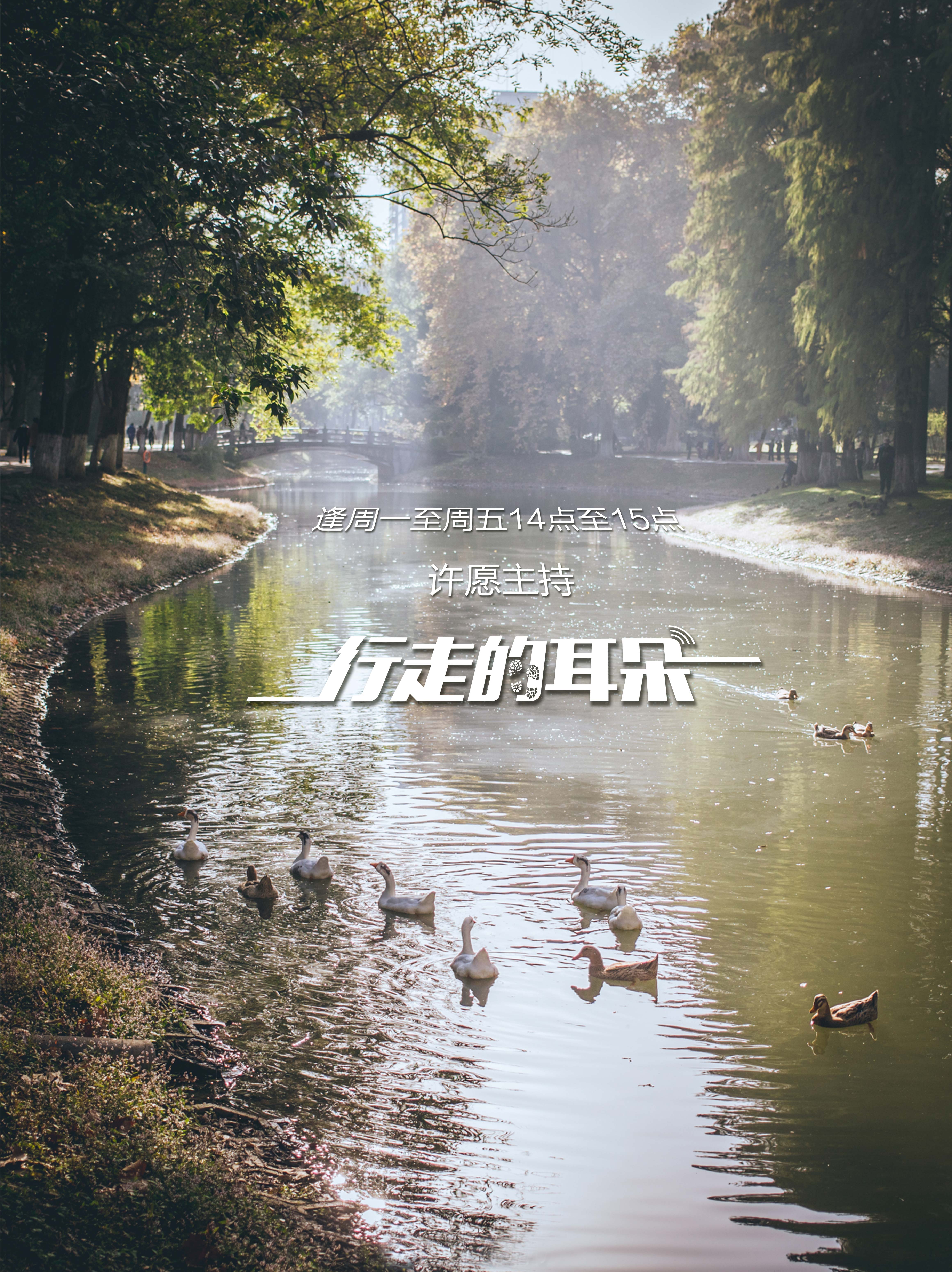 突出“奇、雅、和、美”特色，园博园汉口里花朝节来了