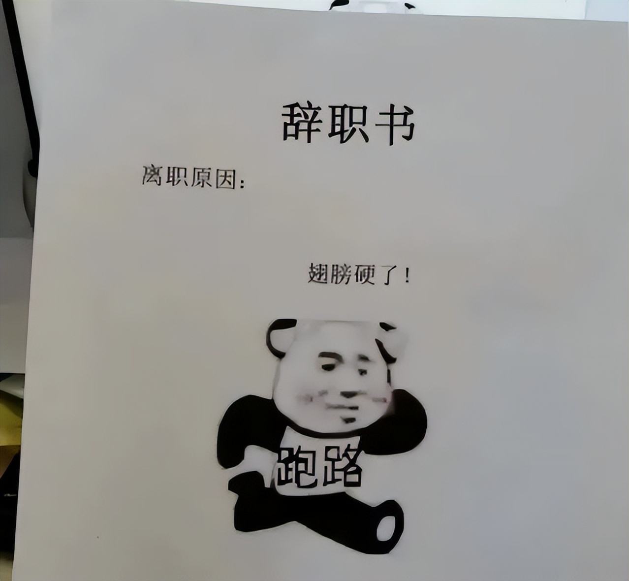 00后辞职信火了,00后女生辞职信又刷屏了