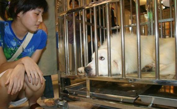 这6种东西网上和实体店都不要买,这6样东西别买贵的