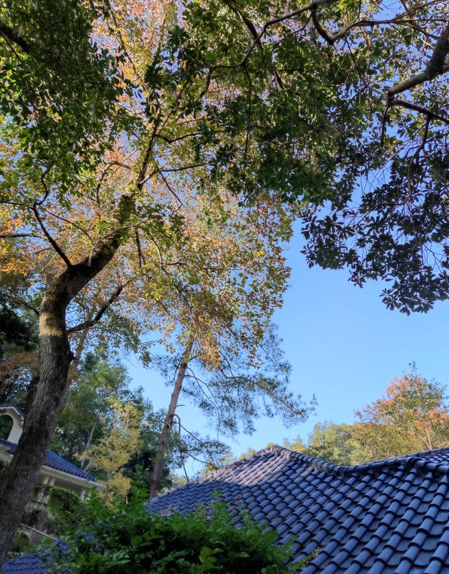 清远避暑温泉山庄,清远森林温泉