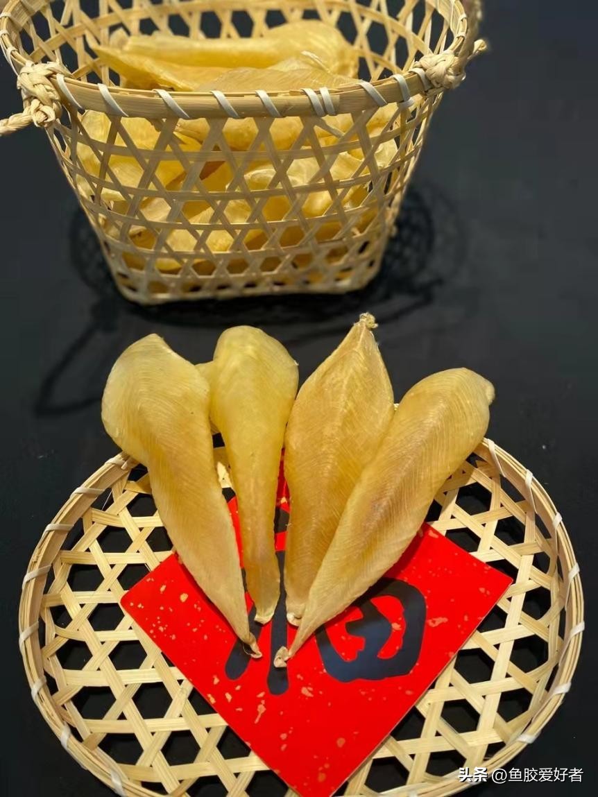 怎么买鱼胶便宜又好用的,买鱼胶什么牌子正宗