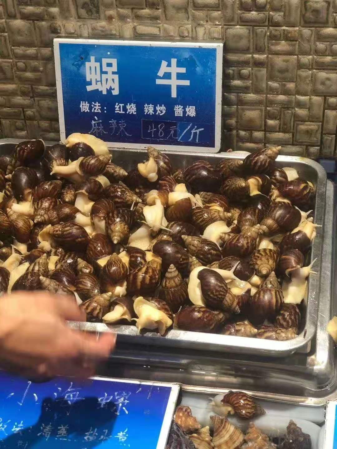 蜗牛可以做花肥吗,蜗牛做美容产品