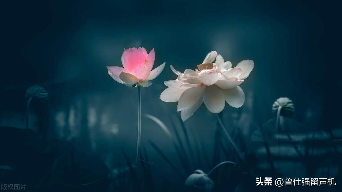 傅佩荣教授解答易友问题：我问我学习的情况，占到讼卦怎么解？