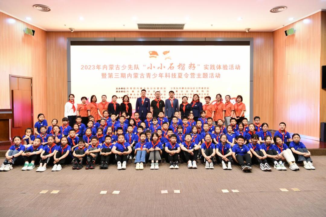 少先队活动课我是小小石榴籽,小小石榴籽少先队活动案例