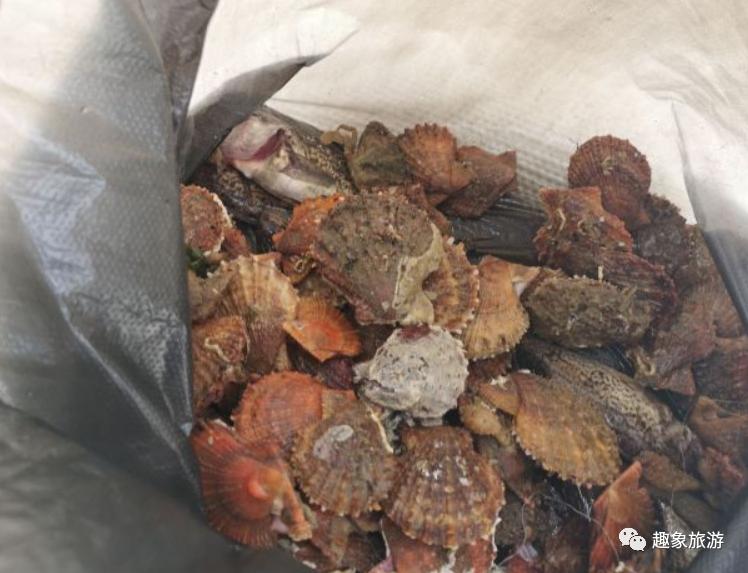 马尔代夫最有趣的岛,马尔代夫天然岛推荐