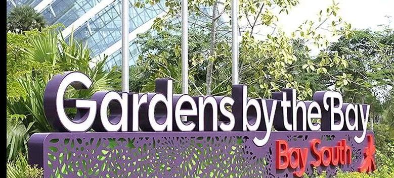 滨水休闲产业全球考察之旅(十一)新加坡滨海湾花园的新颖创意