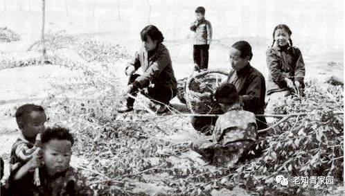 记录60年代真实中国生活,50年代百姓生活的真实影像