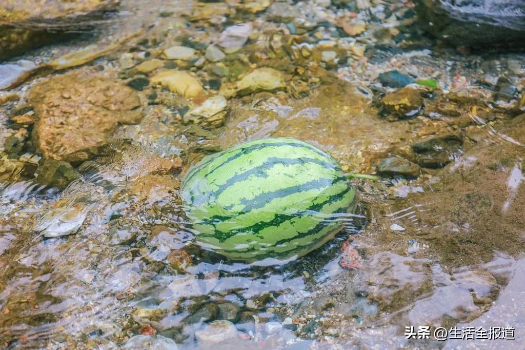 杭州六一遛娃好去处,北京六一遛娃好去处
