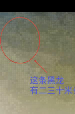 开原发现蛟龙!东北最近频频出现龙卷风,一段视频流出,火遍网络