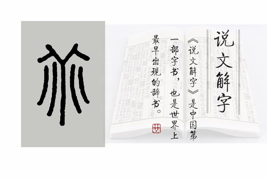 说文解字第461课,说文解字第721课