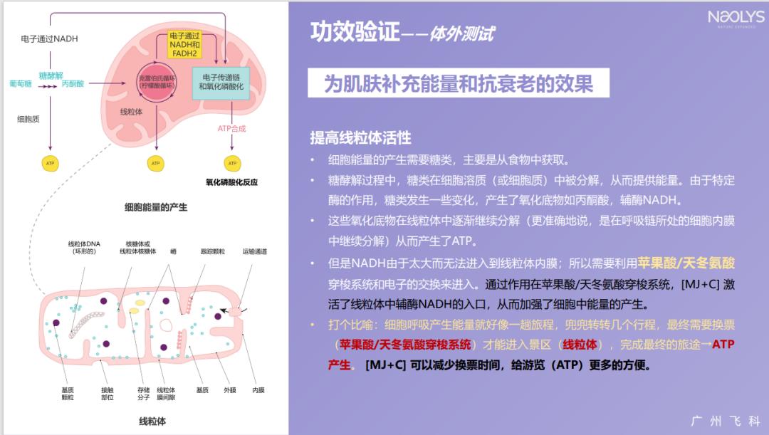 最贵的一瓶护肤品,很昂贵的护肤品