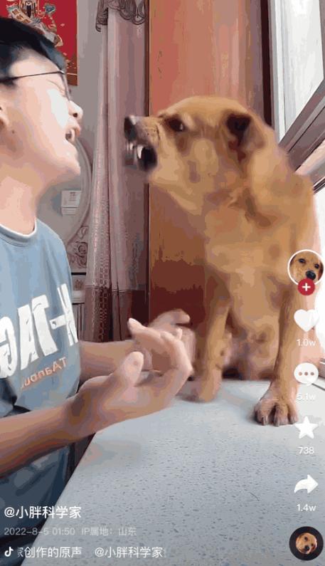 六百万网红想洗白反被封，他哭了狗笑了？网友：他活该