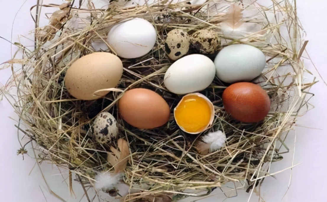 孕期吃什么食物有营养又不发胖,孕期吃哪些食物不胀气