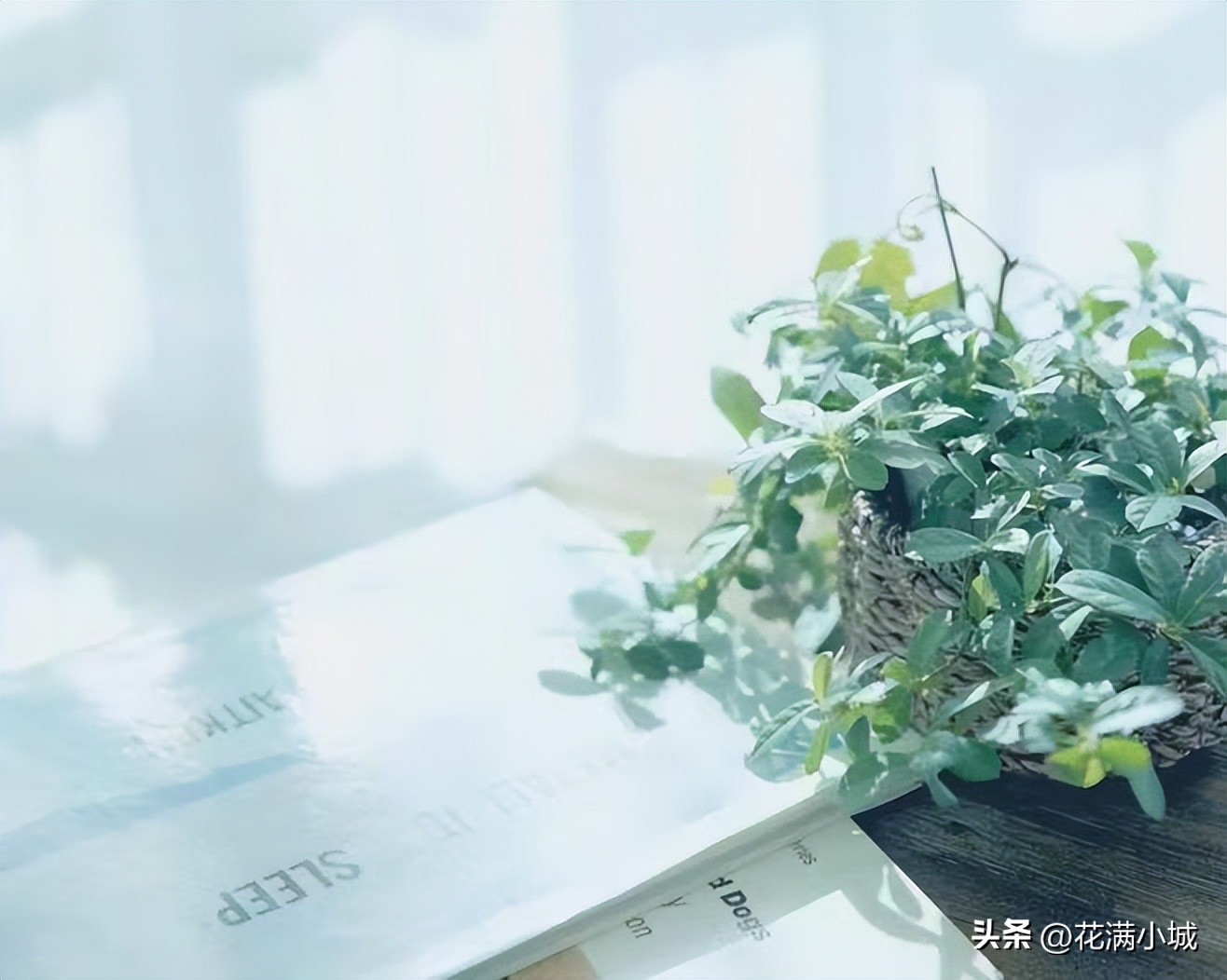 有关七月的散文,七月的散文原文